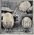 Coquetier adaptable qui permet de manger l'œuf à la coque par le gros ou le petit bout (1923)