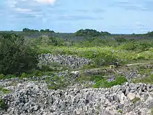 Paysage lunaire formé de pitons calcaires à la suite de l'extraction du phosphate.