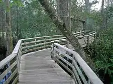 Une promenade au Corkscrew Swamp Sanctuary