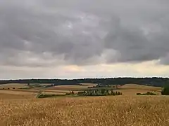 Autre vue éloignée du cimetière, peu avant la moisson