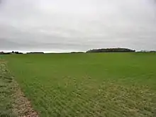 Photographie en couleurs d'un champ cultivé avec un bois à l'horizon.