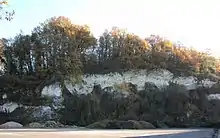 Photographie en couleurs d'un pan de roches blanches au flanc d'une falaise.