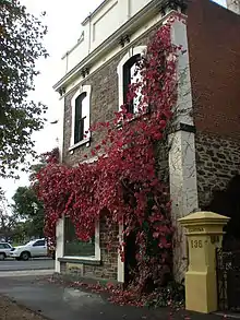 Photographie d'une maison en brique avec un arbre qui pousse le long de la façade.