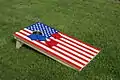 Cornhole USA Beanbag