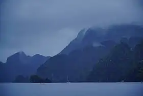 L'île de Coron, réserve forestière. Mai 2018.