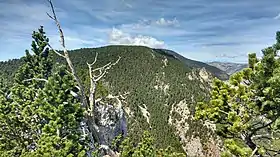 Mont Coronat vu depuis la Tartera