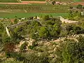 Enclos-apier de Correns (alt. : 219 m), à 4 gradins et cabanon extérieur.