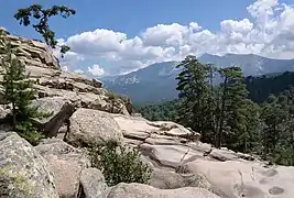 Vue avec pins laricio depuis les abords de la cascade de Radule