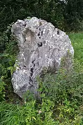 Menhir des Pierres Blanches