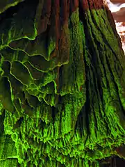 Voiles complexes (grotte de Lapinha, Parc d’État du Sumidouro (en), Brésil).