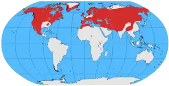 Carte du monde montrant une répartition sur la quasi totalité de l'hémisphère nord, au-delà du tropique du Cancer