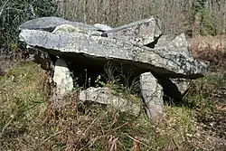 Image illustrative de l’article Dolmen de la Pidoucière