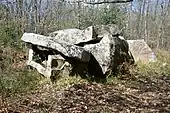 Dolmen de la Pidoucière.