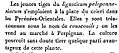 Description du couscouil en 1808.