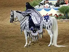 Cheval gris et sa cavalière portant un costume inspié des traditions arabes.