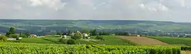 Image illustrative de l’article Coteaux, maisons et caves de Champagne