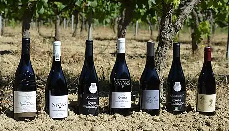 Toutes les bouteilles des cuvées 2020 des Côtes du Rhône Villages Nyons.