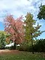 Parc de Gazaillan en automne.