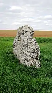 Le menhir de la Grande borne.