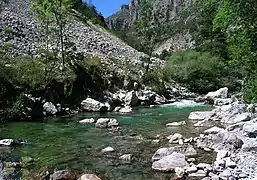 Après la coloration des lacs de Lignin, le Coulomp coule vert à Aurent.