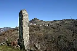 Grand menhir de Counozouls