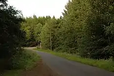 Route bitumée dans une forêt.