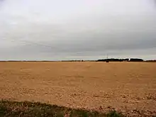 Photographie en couleurs de champs labourés jusqu'à l'horizon barré par un bois.