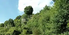 Photographie en couleurs d'escarpements recouverts de végétation.