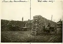 Cour à bois à Saint-Pierre-aux-lien, Québec, 1910