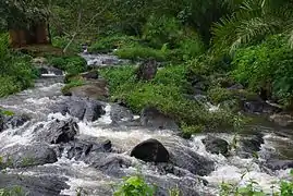 Cours d'eau