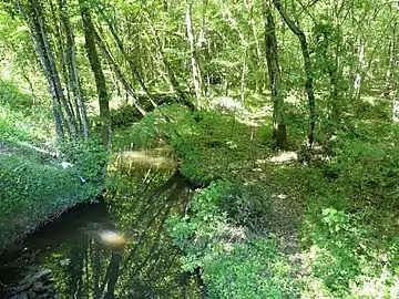 Le Courbarieu au pont de la RD 10E1.