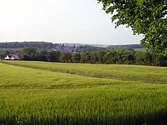Paysage agricole de la commune, vers Montgeroult.