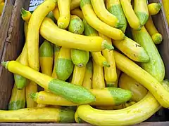 Courgettes bicolores