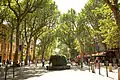 Perspective du Cours Mirabeau, avec la fontaine moussue au centre, 2010.