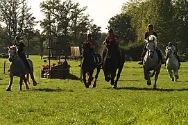 Lors d'une course de vitesse, France, 2011.