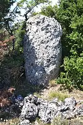 Menhir de Montaymat