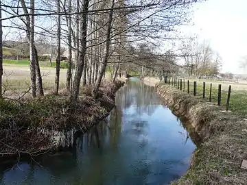 Le Couzeau en amont de l'ancien plan d'eau.