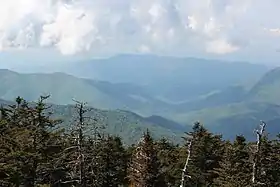 Vue de Cove Mountain depuis le dôme Clingmans.