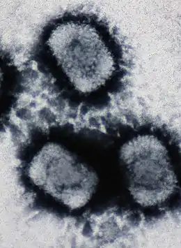 Description de l'image Cowpox virus.jpg.