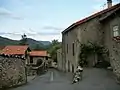 Une rue du village