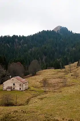 Vue du crêt de Chalam depuis la Borne au Lion.