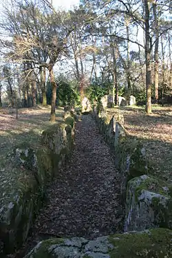 Allée couverte de Luffang Tal er Roch.