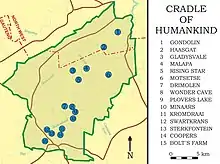 Carte montrant en détail le site du « berceau de l'humanité », en Afrique du Sud. La grotte de Malapa, où fut découvert Australopithecus sediba, est indiquée par le numéro 4.