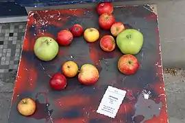 Plusieurs variétés de pommes.