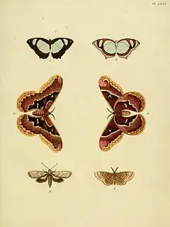 Description de l'image Cramer&Stoll-uitlandsche kapellen vol. 1- plate 075.jpg.