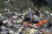 Photographie des débris dispersés dans la nature.