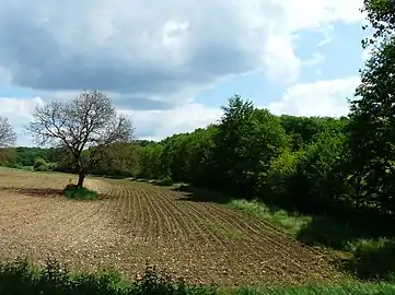 La vallée de la Crempse au sud de Beauregard.