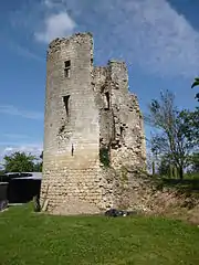 Les ruines du donjon du château.
