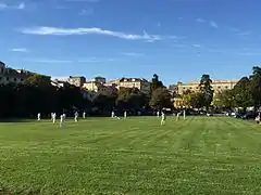 Partie de cricket sur la pelouse.