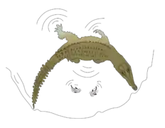 Schéma d'un crocodile dont le corps arqué latéralement retient deux poissons le long de la berge.